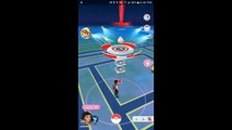 Pokémon GO Gym Battles 3 Gym takeovers Igglybuff Dugtrio Primeape Hitmonlee Exeggutor & more