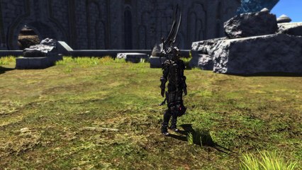 ffxiv: odin helmet and body