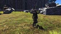 ffxiv: odin helmet and body