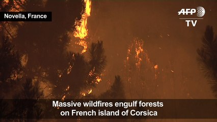 Corsica wildfire spreads across French island
