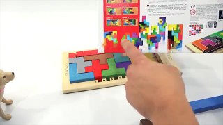 Katamino Puzzle Game - Fill The Pentaminos To Make A Square!