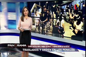 Traslados y orden en los penales: Charly Castillo Nole y Joshua Brown ‘La bestia’ son removidos