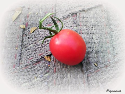 Top 10 health benefits of tomato - Tomatoes are good for your health