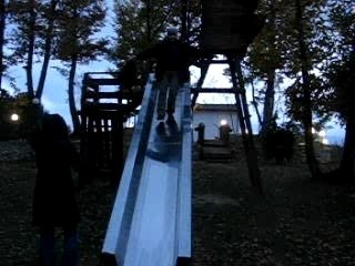 cinghiale sullo scivolo