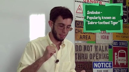 Dimetrodon: Your Dinosaurs Are Wrong #4