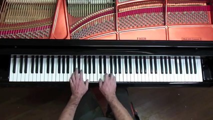 Bach - Toccata and Fugue in D minor BWV 565 - P. Barton, harmonic pedal piano