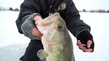 Fishing Under The Ice