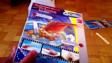 Triops züchten Tag 1 [Galileo] (1. Zucht)