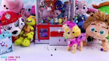 Secret Life of Pets Paw Patrol Play the Claw Machine Game for Blind Box Toy Surprises Pretend Play