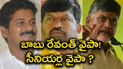 Revanth Reddy VS TDP senior leaders బాబు రేవంత్ వైపా!, సీనియర్ల వైపా! అదే జరిగితే? | Oneindia Telugu