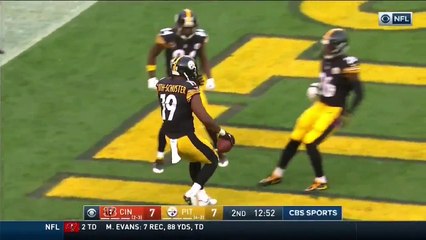 Pittsburgh Steelers Bizarre Hide And Seek TD Celebration!
