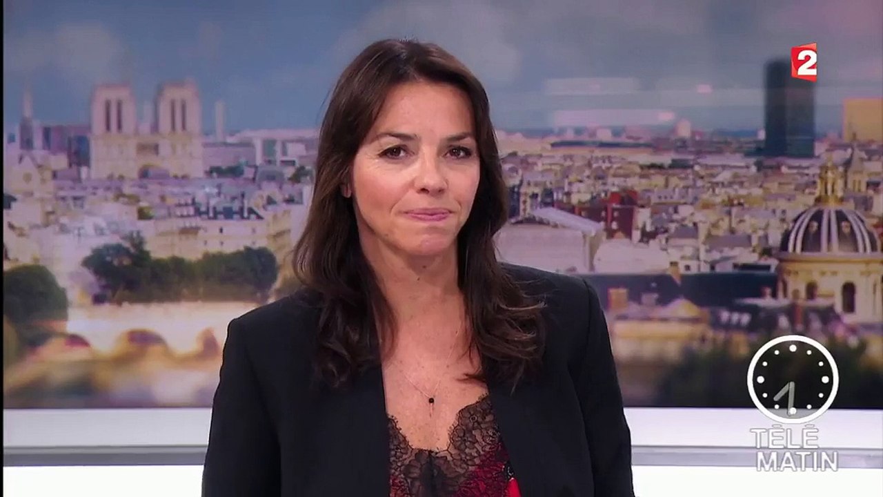 Incendies en Haute-Corse : "Le feu ne progresse plus, c'est une bonne nouvelle", annonce le préfet de Haute-Corse