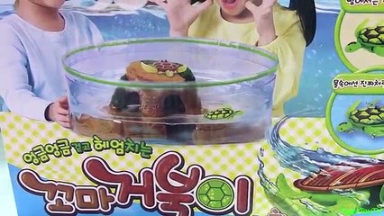 귀여운 꼬마거북이와 함께하는 오로라 로봇피쉬 세트 리뷰 🐢