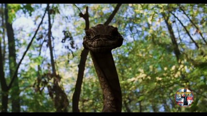 Anacondas Trail of Blood