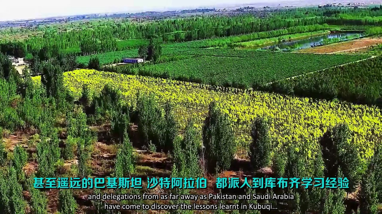 China makes great efforts on improving global climate change