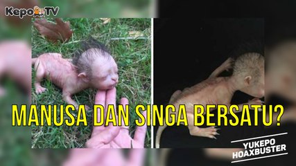 Hasil Hubungan Gelap Antara Manusia dan Hewan? #YukepoHoaxbuster