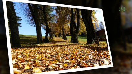 LAST HORIZON - NIGHTTIME STROLL - SAND CASTLES -SATIN SUGAR -1490 S SLOW DANCE STRING