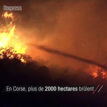 Plus de 2000 hectares brûlent en Corse