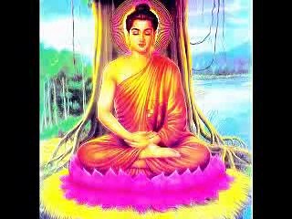 GIEO NHÂN GẶT QUẢ