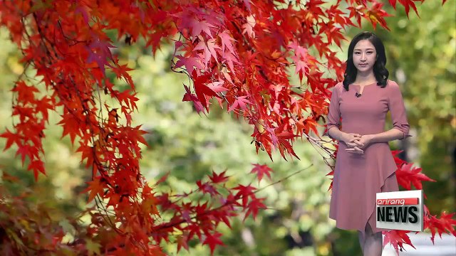 Sharp temperature drops during the night _ 102317