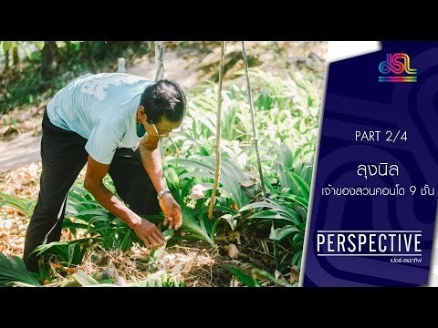 Perspective : ลุงนิล | เจ้าของสวนคอนโด 9 ชั้น [12 มิ.ย. 59] (2/4) Full HD