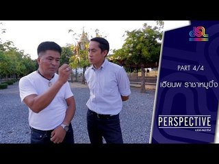 Perspective : เฮียนพ หมูนุ่ม | ราชาหมูปิ้งสองร้อยล้าน [1 พ.ค. 59] (4/4) Full HD