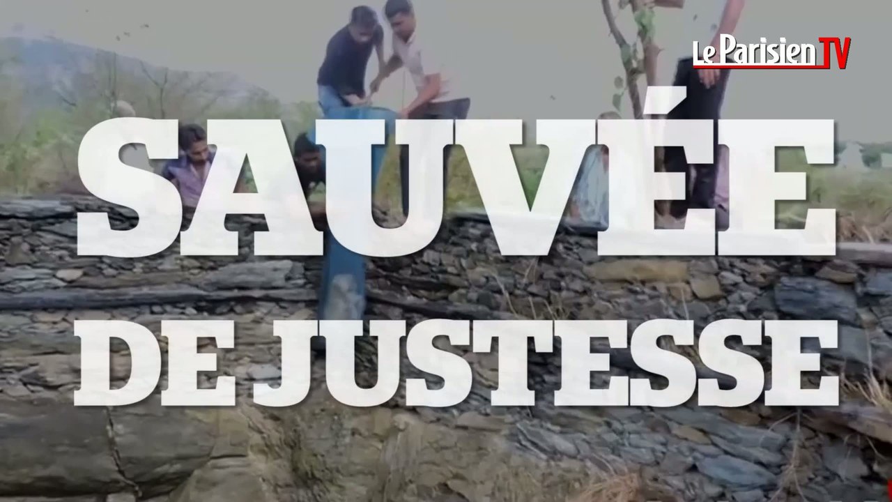 Cette chienne sauvée in extremis en Inde