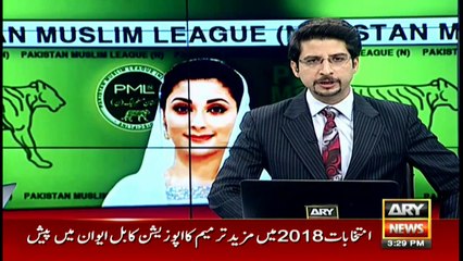 Maryam Nawaz addresses media