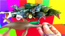 DINOSAUR Box 13 TOY COLLECTION - MARINE REPTILES MOSASAURUS Unboxing Toy Review SuperFunReviews