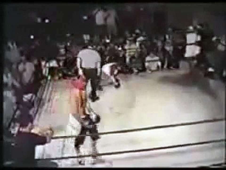 Referee Knocks Out An MMA Fighter!