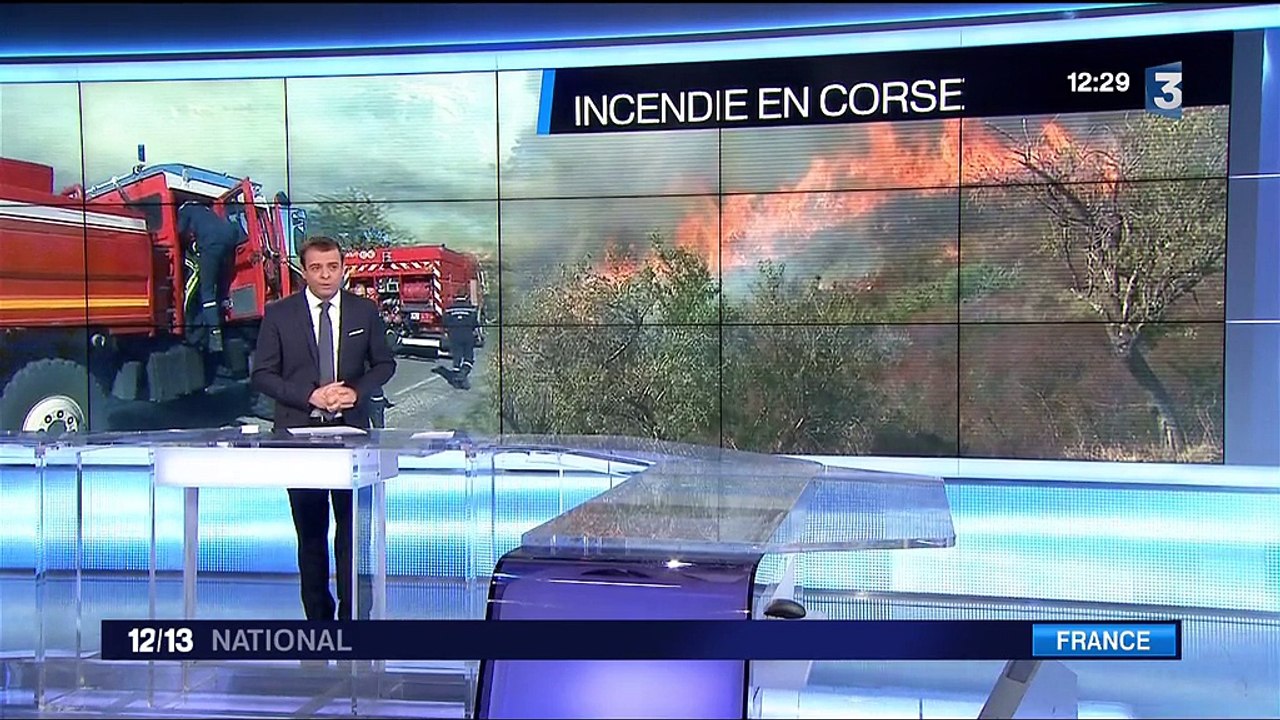 Corse : la sécheresse, principale cause d'incendies