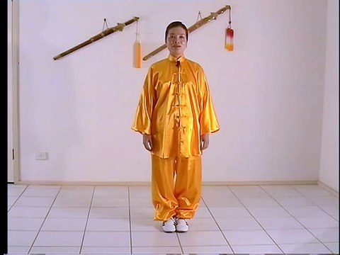 Tai chi chuan - 10 form - Yang style