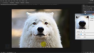 3 Ways to SHARPEN BLURRY PICTURES in Photoshop