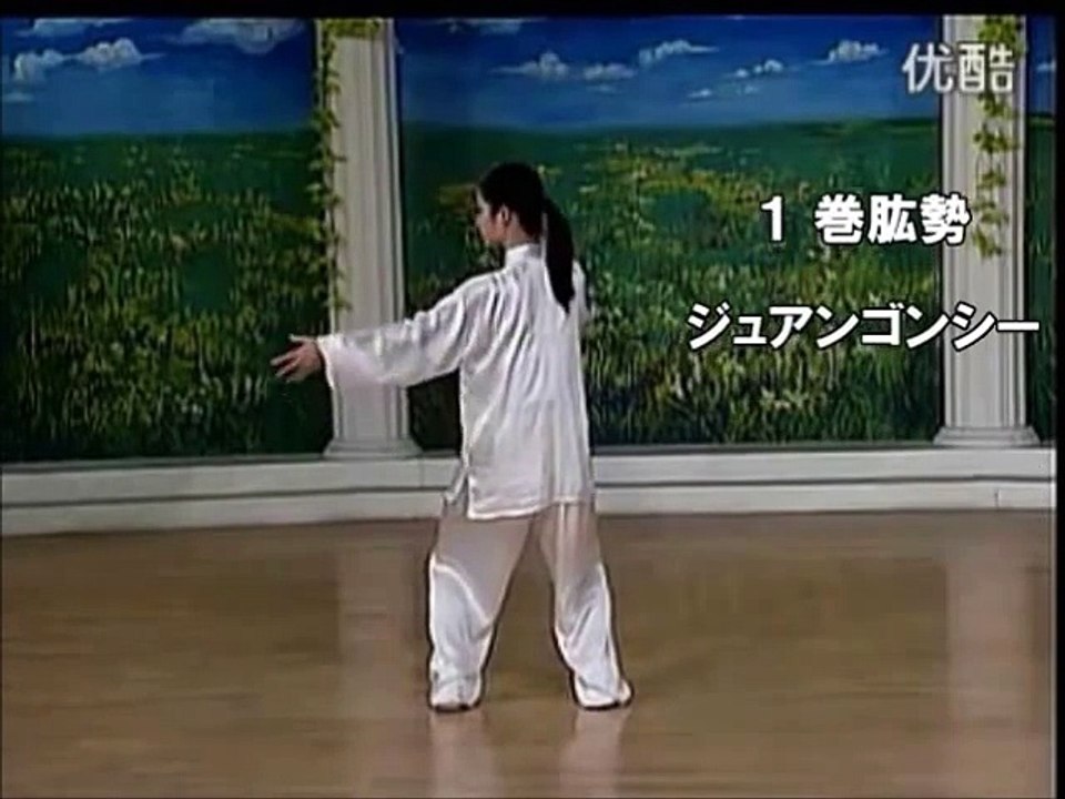 Tai ji quan - 10 form - Yang style - Back view