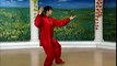 Tai chi chuan - 16 form - Yang style