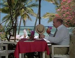 Der Millionenbauer  E08 - Schöne Aussichten