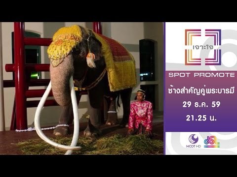 เจาะใจ : Promote ช้างสำคัญคู่พระบารมี [29 ธ.ค. 59] Full HD