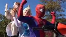 Spiderman Finger Family Nursery Rhymes. SuperHeroes Finger Family Songs: Spiderman, Elsa, Joker