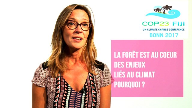 Les experts alim'agri : Les sols forestiers et les arbres sont des puits de carbone