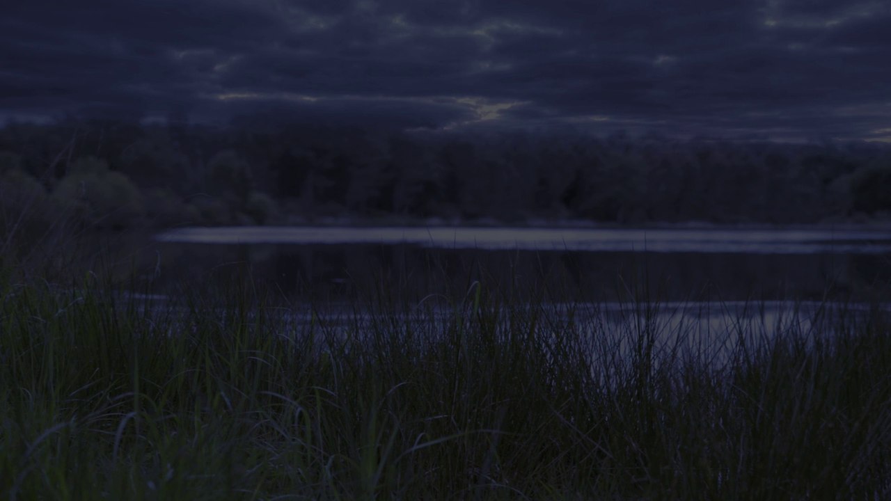 Halloween à la Réserve zoologique de la Haute-Touche