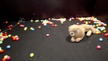 Isi dari KAGET (Kamar Gelap Total) Pesbukers