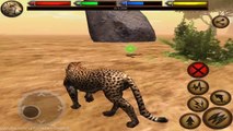 Ultimate Savanna Simulator - Android Gameplay - Attack With Angry Cheetah!