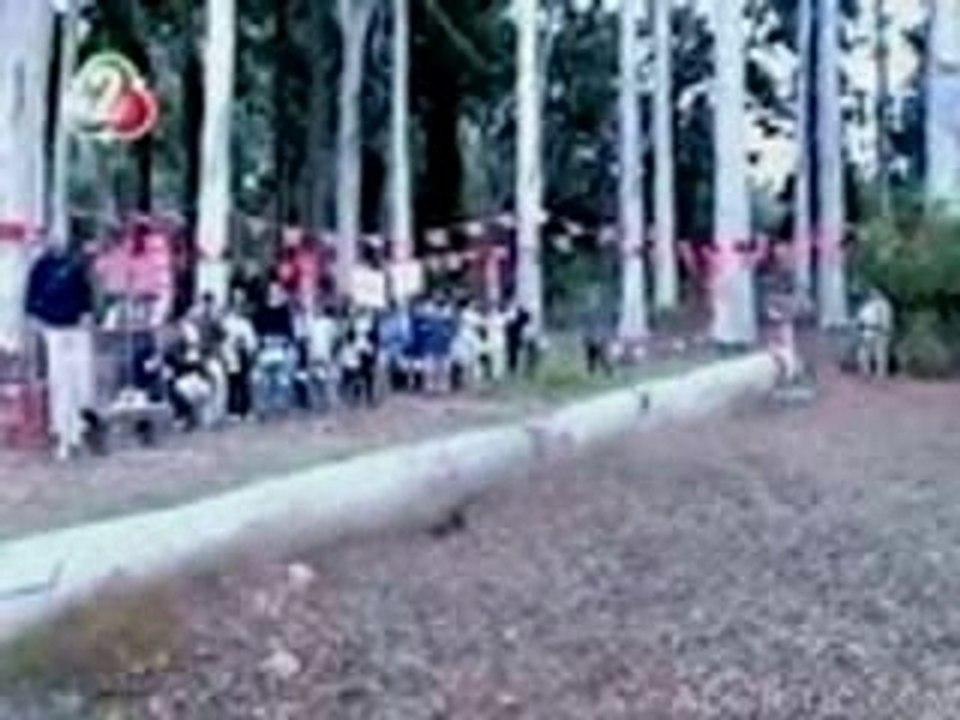 Ouch...fucking tree