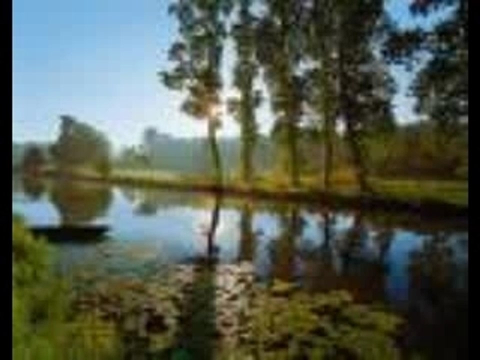 Le marais poitevin