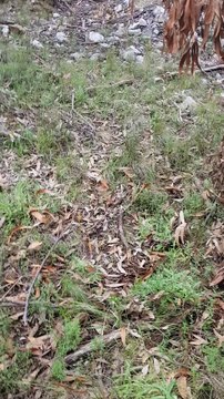 Riding Motorbikes Alone Can Have its Pitfalls...