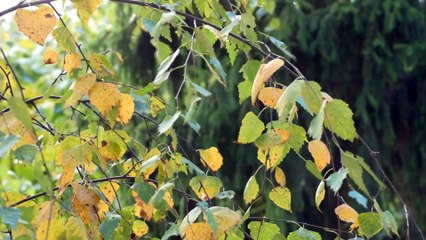 LGYJ 중절수술 [낙태수술 aaww2277@gmail.com   ~메일로 문의하세요.] 중절수술