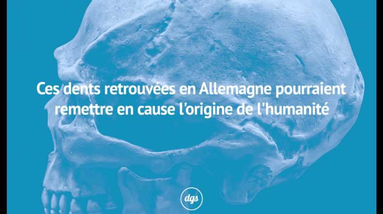 Ces dents trouvées en Allemagne remettent en cause ce que nous savons sur l’histoire de l’humanité