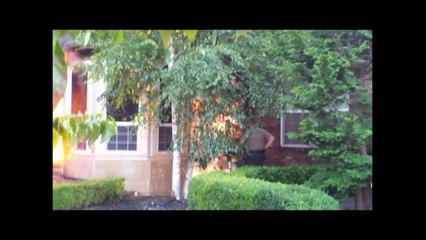 House Fire Compilation 🔥 - thumbnail