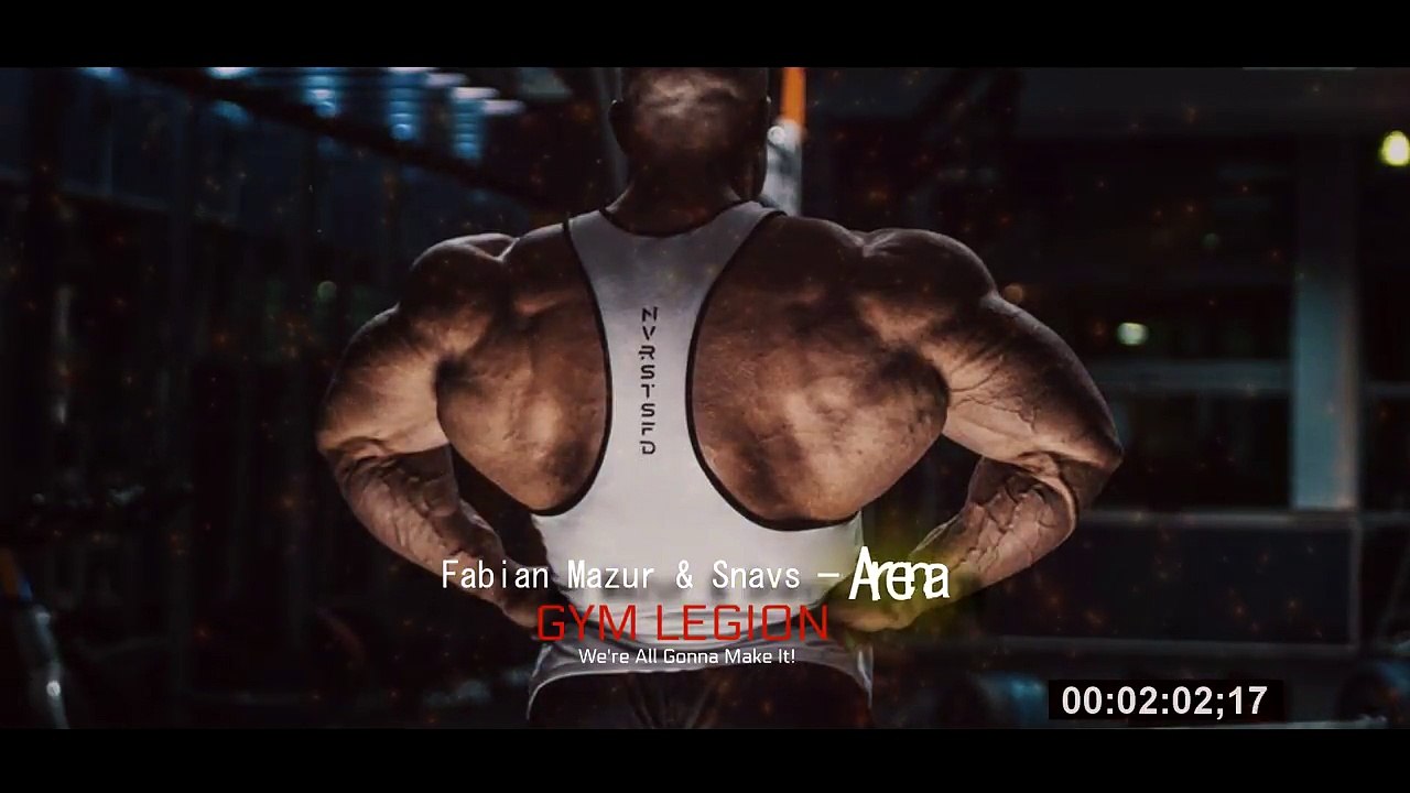 TOP 10 Best Workout Songs - Gym Music Mix 2017