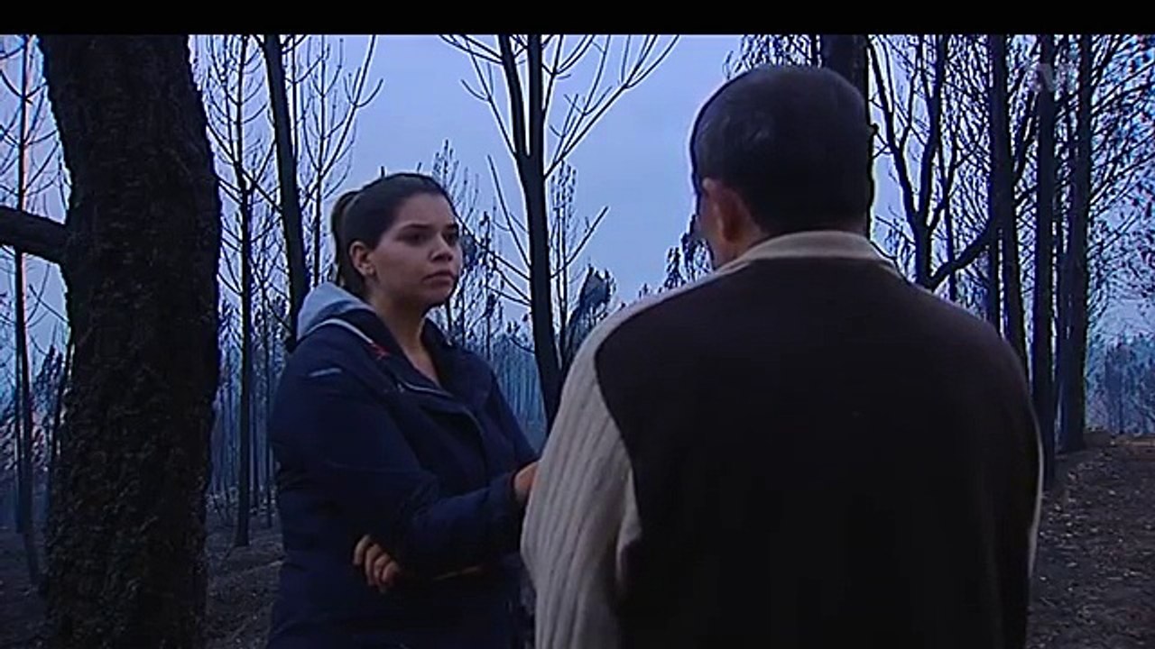 Incendiário revela porque deitou fogo